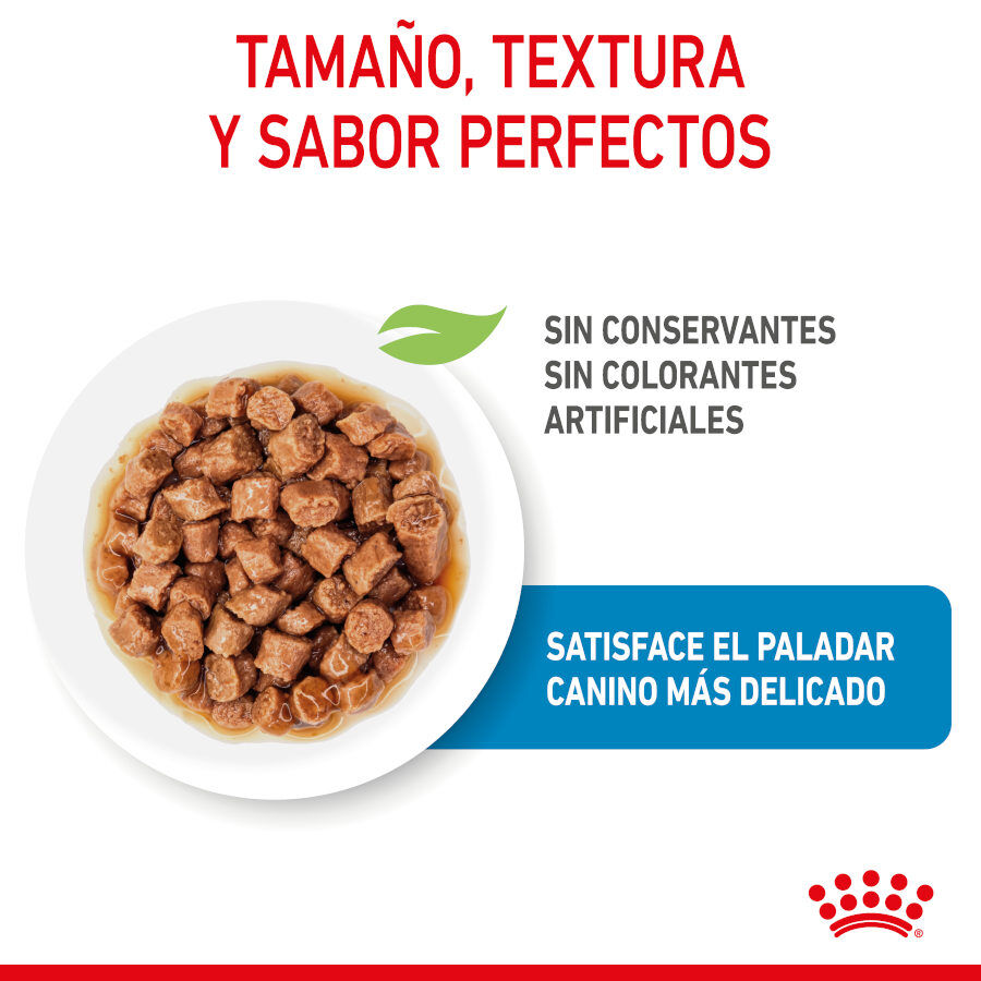 85 g Royal Canin X-Small Puppy Bocaditos em molho saqueta para cachorros, , large Imagem n&uacute;mero 5