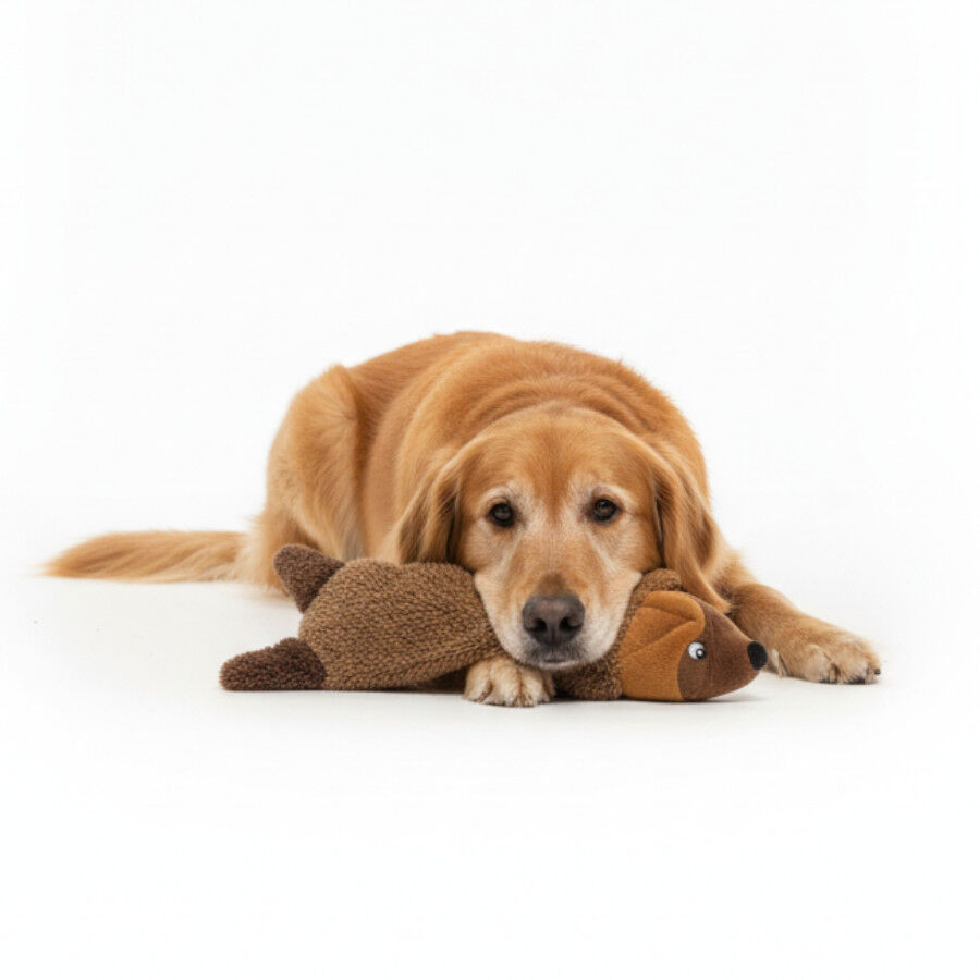 Love the Earth Peluche mink sem enchimento para c&atilde;es, , large Imagem n&uacute;mero 4