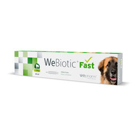 Wepharm Webiotic Fast Suplemento para c&atilde;es e gatos
