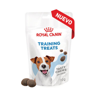 Royal Canin Training trata cobras para cães