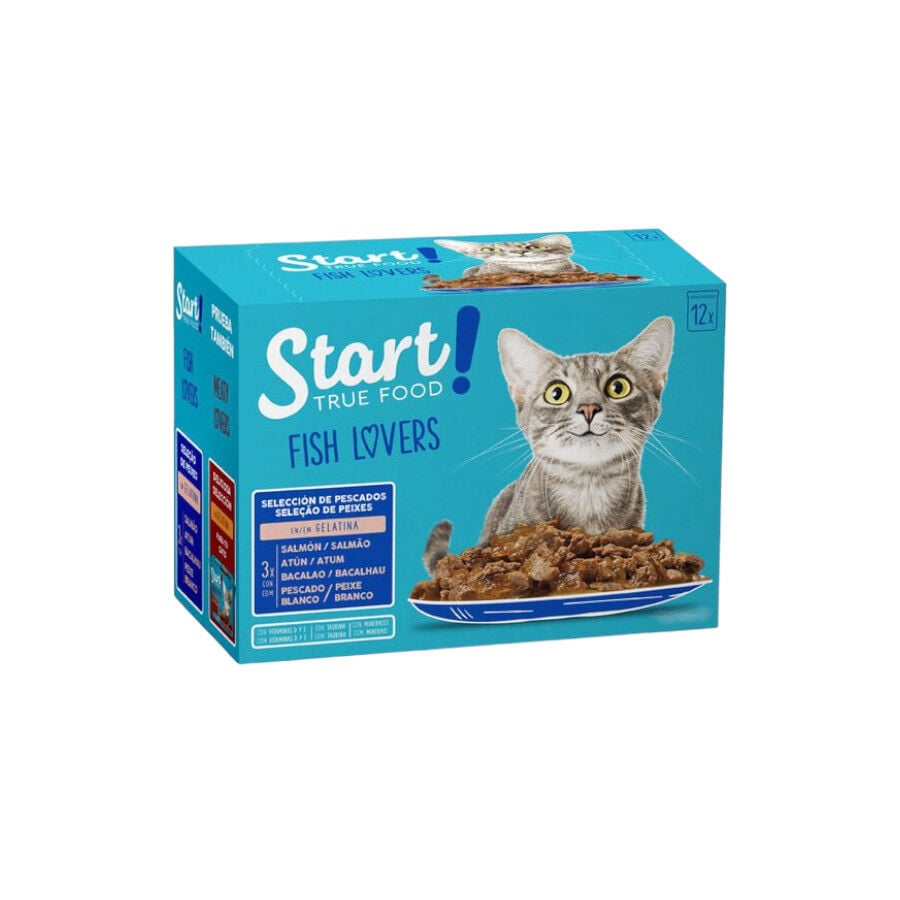 12 saquetas x 100 g Start Cat Peixe saqueta com gelatina para gatos - Multipack, , large Imagem n&uacute;mero 1