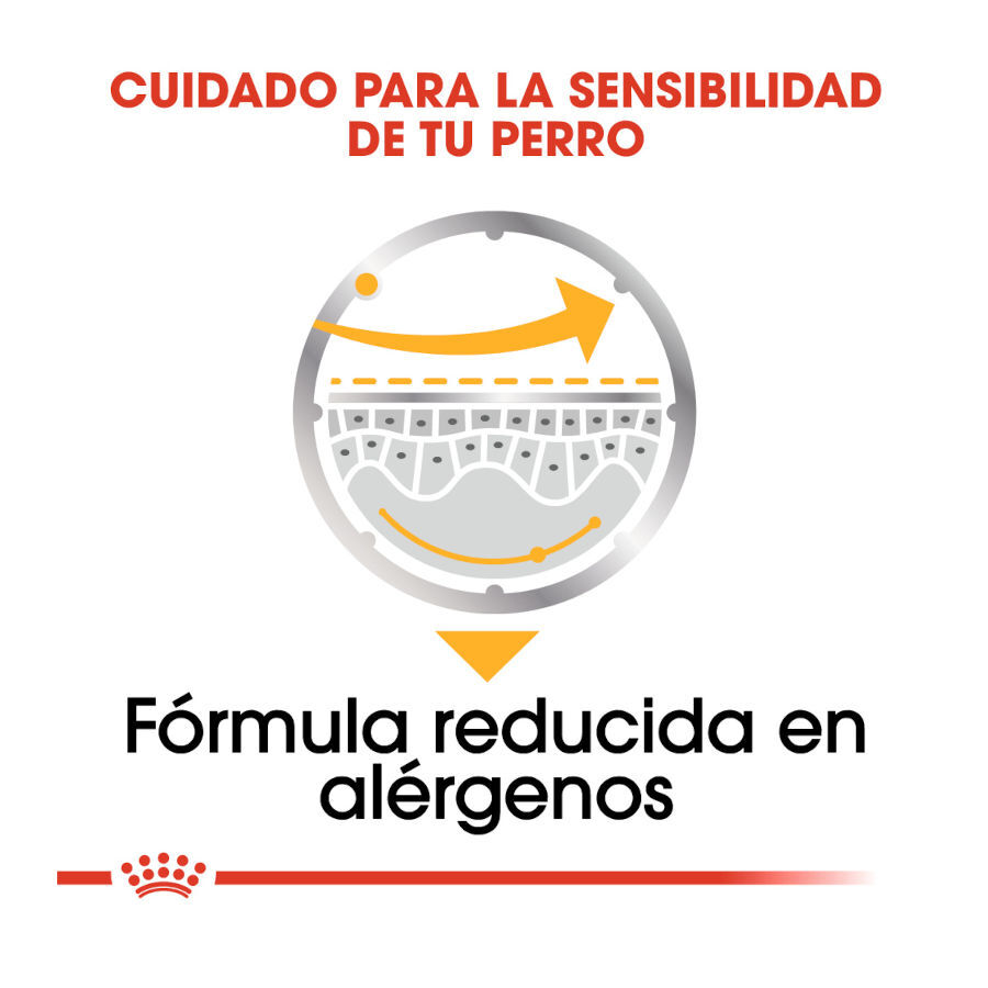 85 g Royal Canin Dermacomfort Saquetas Pat&ecirc; para c&atilde;es, , large Imagem n&uacute;mero 5