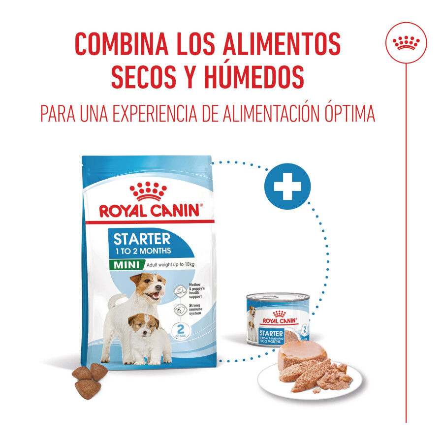 Royal Canin Mini Starter MothereBaby ra&ccedil;&atilde;o para c&atilde;es, , large Imagem n&uacute;mero 6