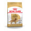 15 kg Royal Canin Digestive Ra&ccedil;&atilde;o de ave para c&atilde;es golden retriever, , large Indicador imagem n&uacute;mero 1