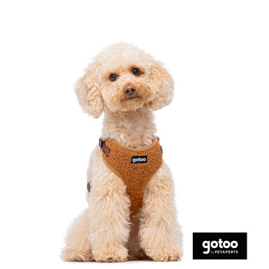 Gotoo Peitoral ajustável teddy castanho para cães