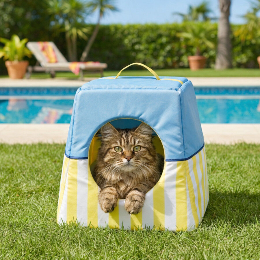 Summer Vibes Cool Cat Bed Club Iglu para gatos, , large Imagem n&uacute;mero 1
