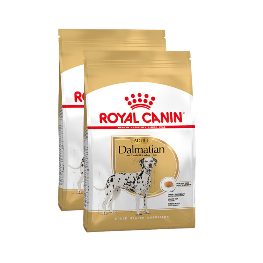 2 x 12 kg Royal Canin Adult D&aacute;lmata ra&ccedil;&atilde;o para c&atilde;es Pack poupan&ccedil;a!, , large Imagem n&uacute;mero 1