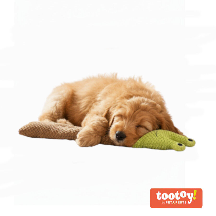 Tootoy! Comfort Caracol de brinquedo para c&atilde;es, , large Imagem n&uacute;mero 8