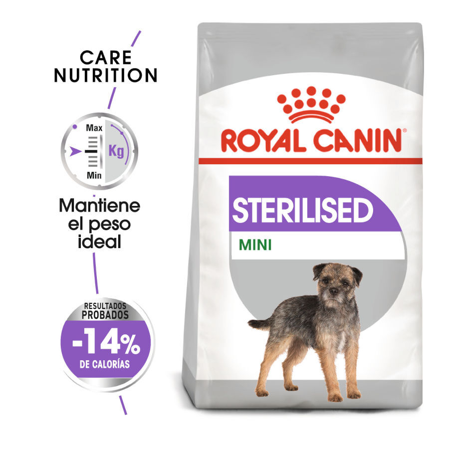 8 kg Royal Canin Mini Sterilised ra&ccedil;&atilde;o para c&atilde;es, , large Imagem n&uacute;mero 2