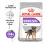 8 kg Royal Canin Mini Sterilised ração para cães, , large Indicador imagem número 2