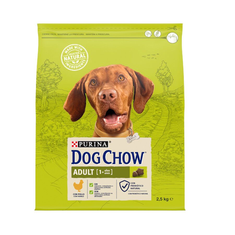 2.5 kg Dog Chow Adult Frango ra&ccedil;&atilde;o para c&atilde;es, , large Imagem n&uacute;mero 1