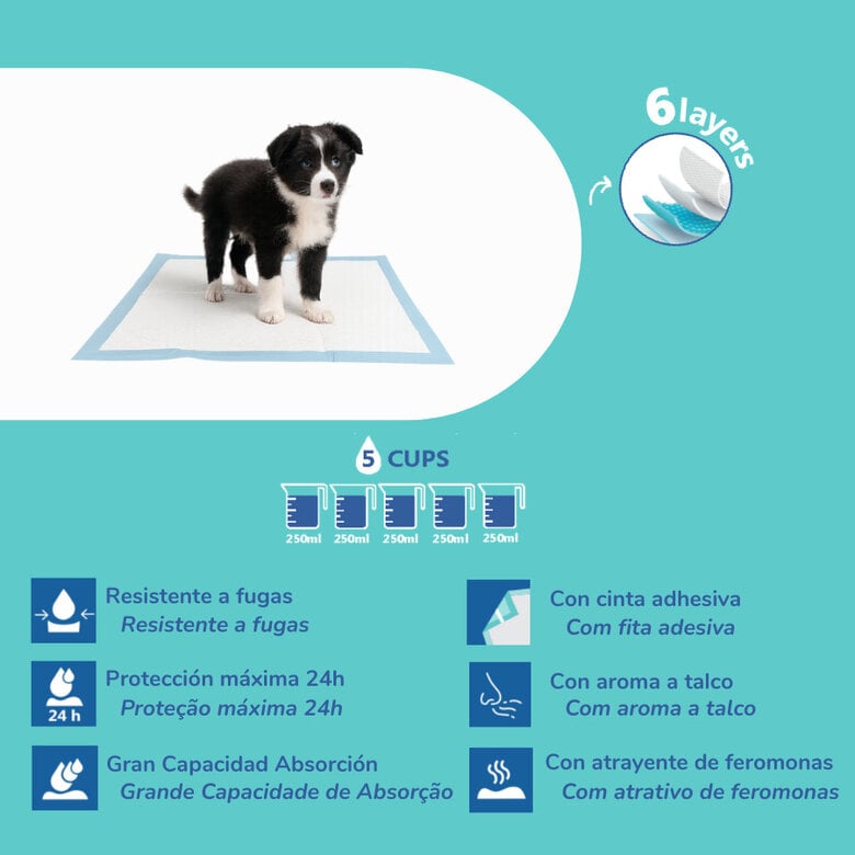 Nice Care Resguardos Premium para cães,  Imagem número 2 Nice Care Resguardos Premium para cães, , large Imagem número 2