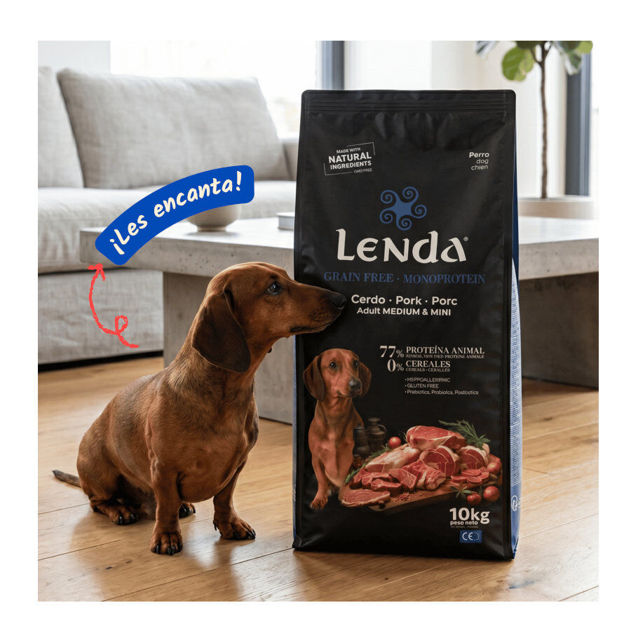 10 kg Lenda Grain Free Ra&ccedil;&atilde;o de Porco para c&atilde;es, , large Imagem n&uacute;mero 5