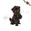 Wonder Christmas Pendente para coleira &Aacute;rvore de Natal para c&atilde;es, , large Indicador imagem n&uacute;mero 1