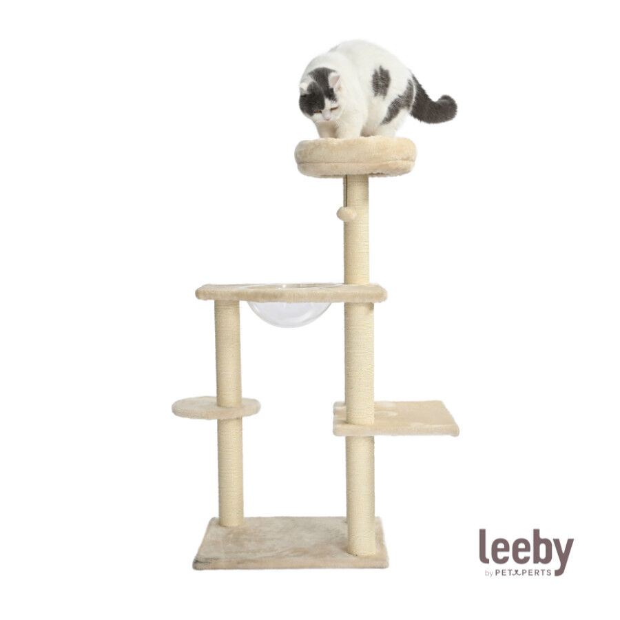 Leeby Luna &aacute;rvore arranhadora com cama e brinquedo para gatos, , large Imagem n&uacute;mero 2