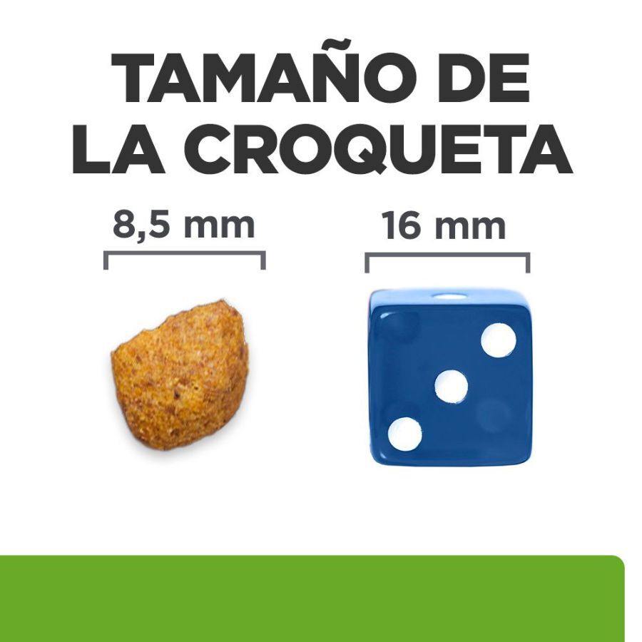 8 kg Hill's Prescription Diet Metabolic + Mobility Ra&ccedil;&atilde;o de frango para gatos, , large Imagem n&uacute;mero 9