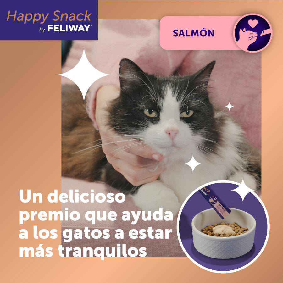24 barritas Feliway Ceva Happy Snacks de Salm&atilde;o para gatos, , large Imagem n&uacute;mero 2