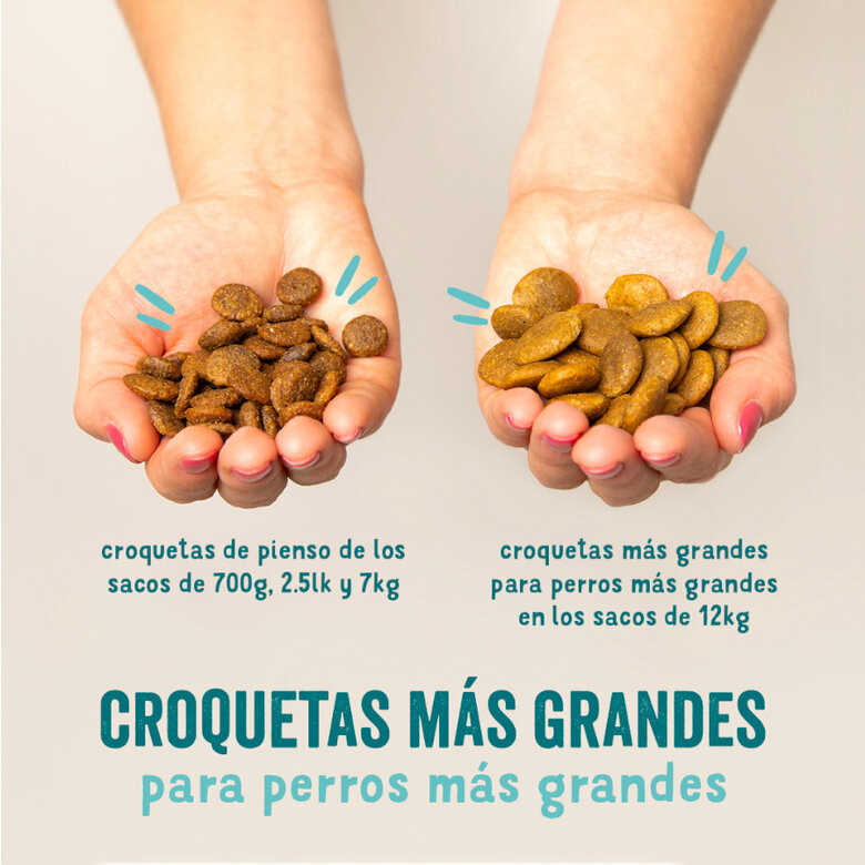 Edgard & Cooper ração Pato e Frango para cachorros,  Imagem número 5 Edgard & Cooper ração Pato e Frango para cachorros, , large Imagem número 5