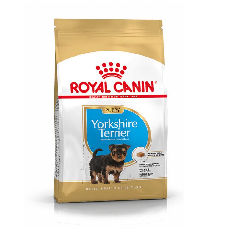 Royal Canin Puppy Yorkshire Terrier ração para cães,  Imagem número 1 Royal Canin Puppy Yorkshire Terrier ração para cães, , large Imagem número 1