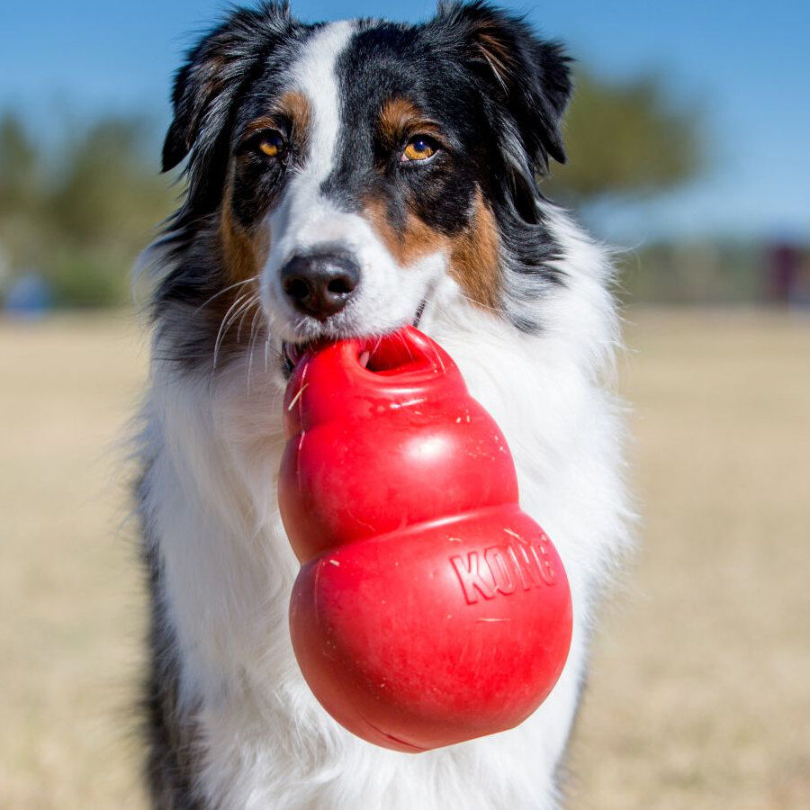 Kong Bounzer Brinquedo vermelho para c&atilde;es, , large Imagem n&uacute;mero 2