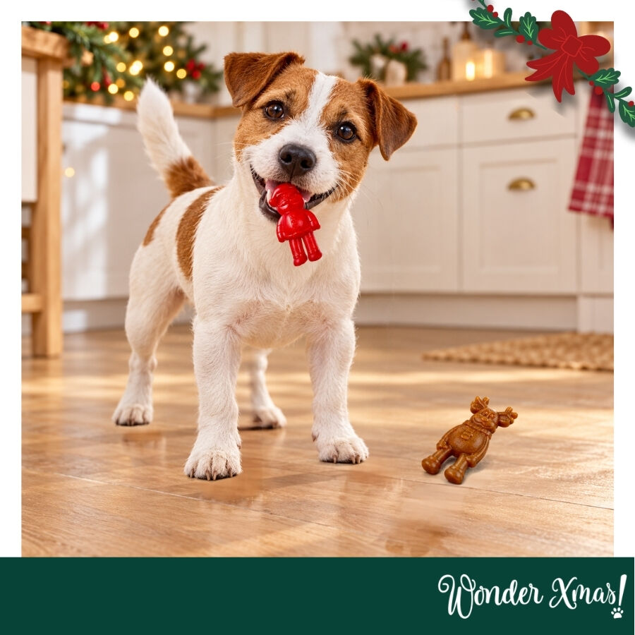 1 pack x 2 uns. Wonder Christmas Figuras Mastig&aacute;veis Snacks para C&atilde;es, , large Imagem n&uacute;mero 2