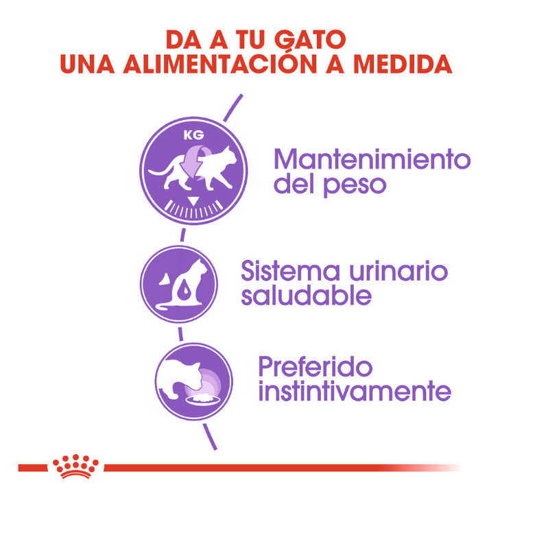 85 g Royal Canin Sterilised patê em saquetas para gatos,  Imagem número 3 85 g Royal Canin Sterilised patê em saquetas para gatos, , large Imagem número 3