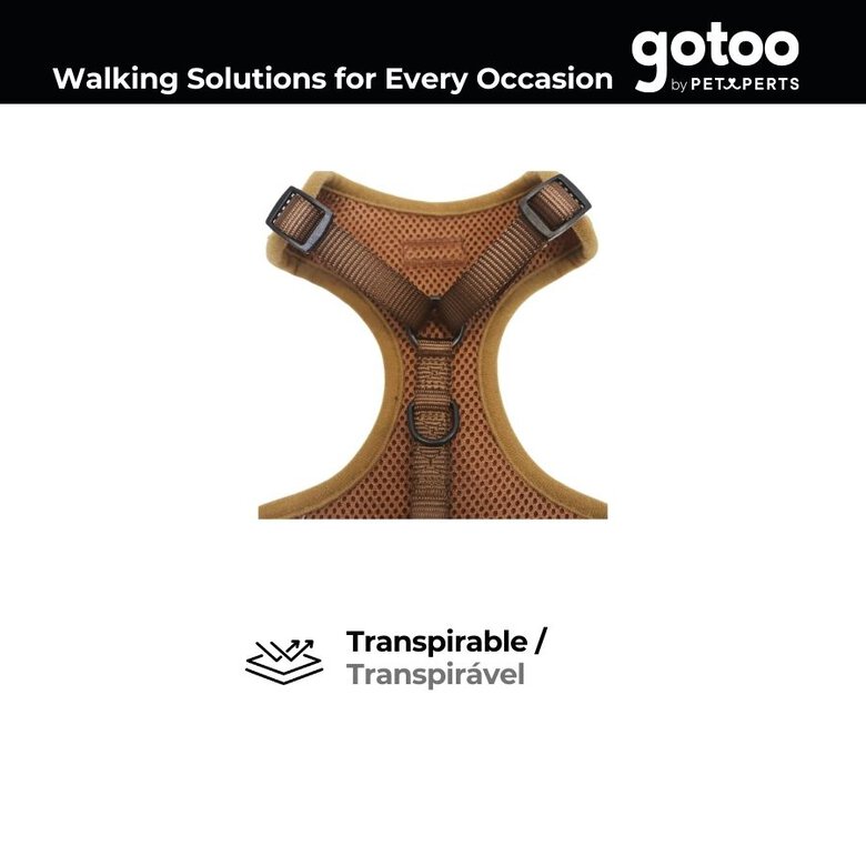 Gotoo Peitoral ajustável teddy castanho para cães,  Imagem número 4 Gotoo Peitoral ajustável teddy castanho para cães, , large Imagem número 4