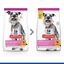 2.5 kg Hill's Science Plan Light Mature Adult small Y mini frango ração para cães, , large Indicador imagem número 5