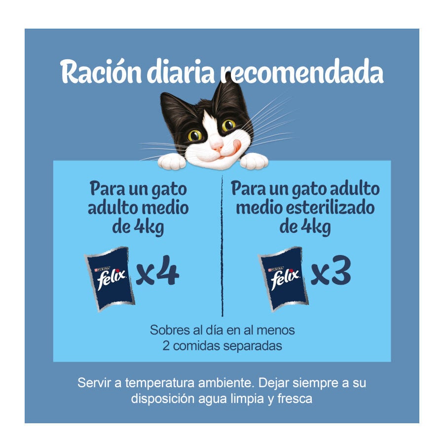 12 saquetas x 85 g Felix Sensations Sele&ccedil;&atilde;o de Peixes saquetas em galeia, , large Imagem n&uacute;mero 3