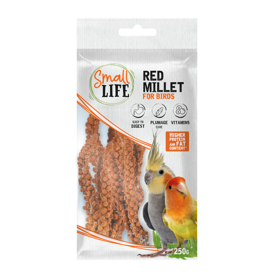 250 g Small Life Red Panizo Petisco para p&aacute;ssaros, , large Imagem n&uacute;mero 1