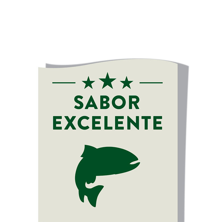 Affinity Libra Adult salmão ração para cães, , large image number null