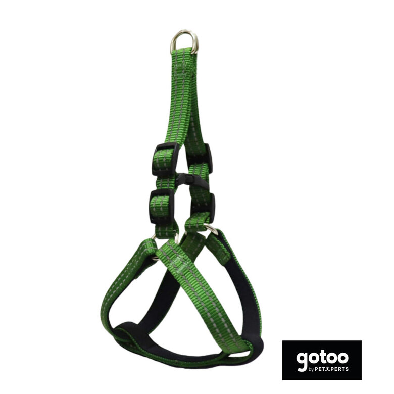 Gotoo Peitoral verde de nylon para cães,  Imagem número 2 Gotoo Peitoral verde de nylon para cães, , large Imagem número 2