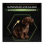 Pro Plan Puppy Small e Mini Healthy Start Frango ração, , large Indicador imagem número 6
