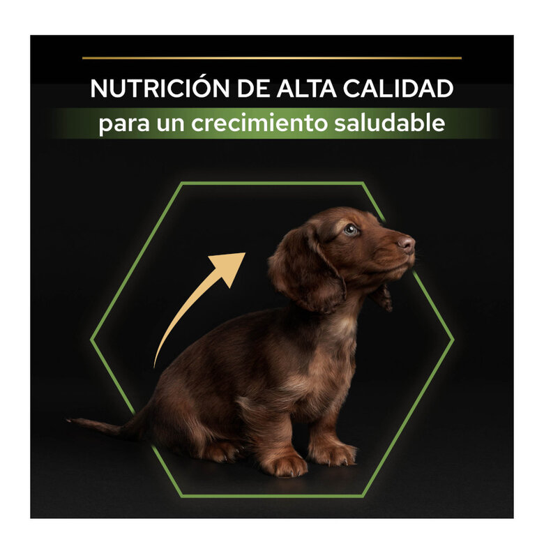 Pro Plan Puppy Small e Mini Healthy Start Frango ração,  Imagem número 7 Pro Plan Puppy Small e Mini Healthy Start Frango ração, , large Imagem número 7