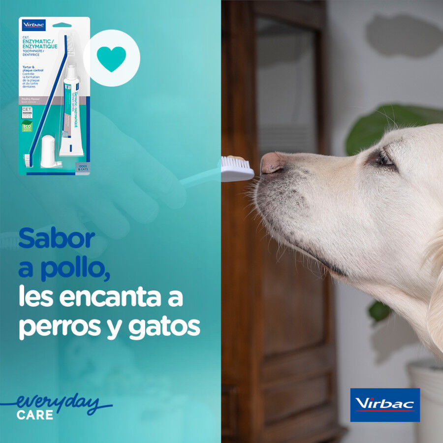 Virbac Kit Dent&iacute;frico Enzim&aacute;tico para c&atilde;es C.E.T, , large Imagem n&uacute;mero 6