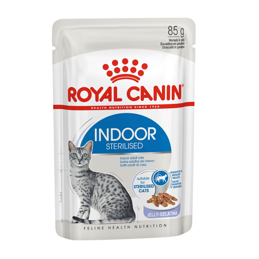 85 g Royal Canin Indoor Sterilised Saquetas em Gelatina para gatos, , large Imagem n&uacute;mero 1