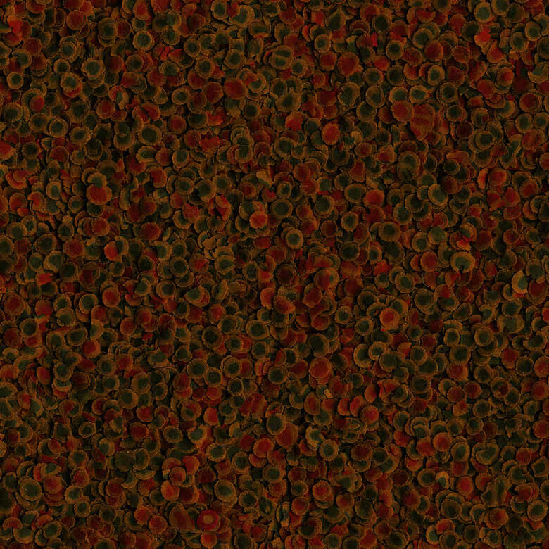 Tetra PRO Energy Multi-Crisps alimento para peixes,  Imagem número 2 Tetra PRO Energy Multi-Crisps alimento para peixes, , large Imagem número 2