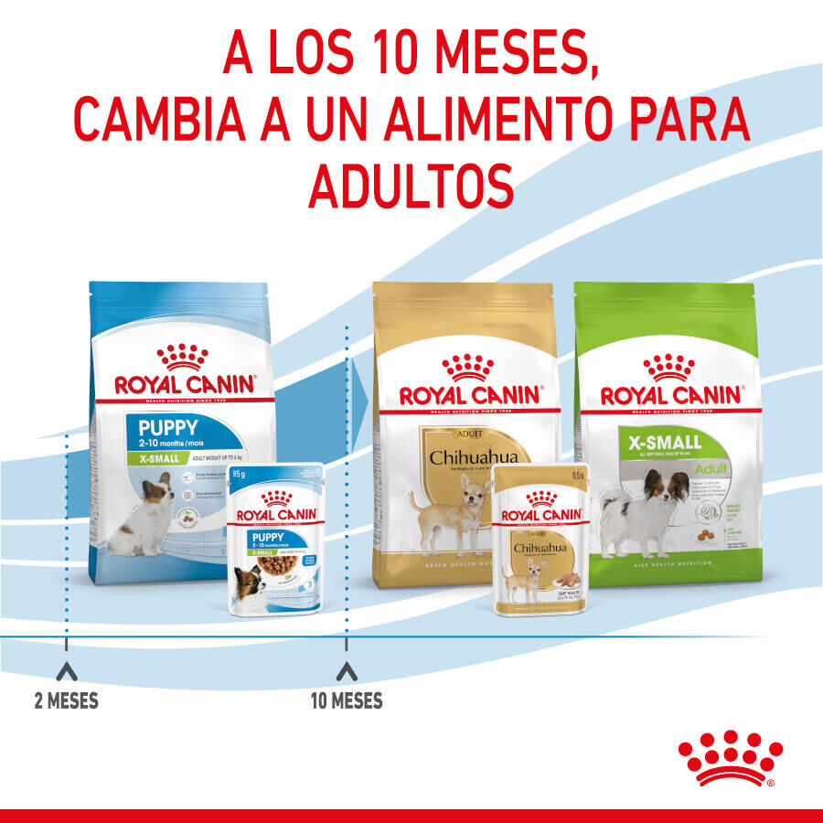 85 g Royal Canin X-Small Puppy Bocaditos em molho saqueta para cachorros, , large Imagem n&uacute;mero 10