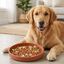 Leeby Comedouro Antivoracidade Laranja para c&atilde;es, , large Indicador imagem n&uacute;mero 1