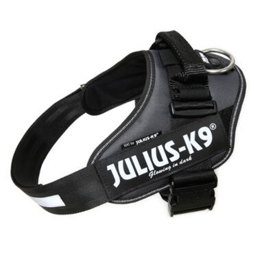 Julius K9 Peitoral Ergonómico Cinza para cães