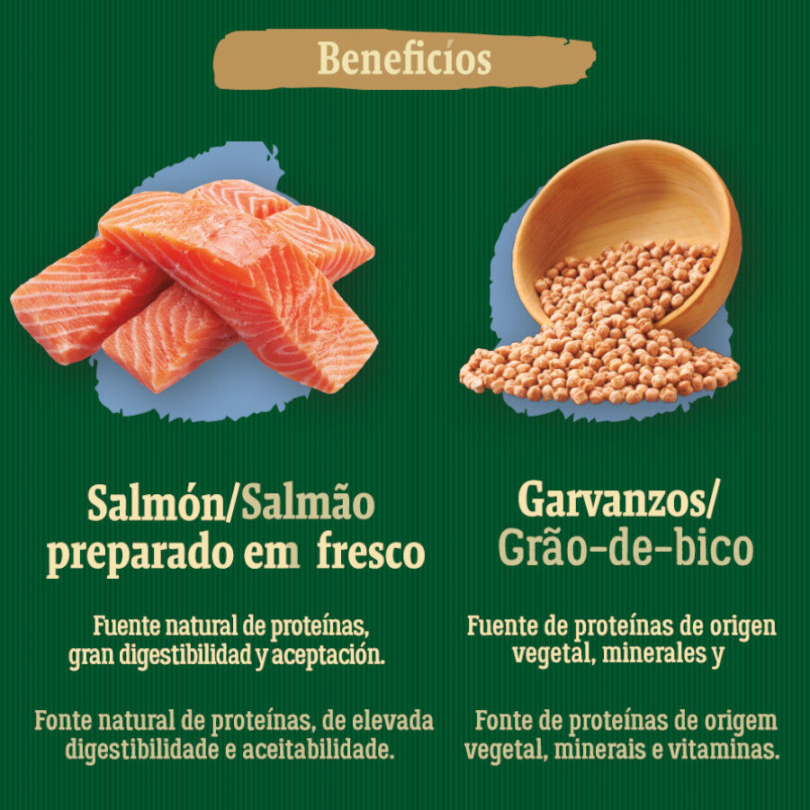 6 kg True Origins Wild Adult Pacific Salm&atilde;o ra&ccedil;&atilde;o para gatos, , large Imagem n&uacute;mero 5