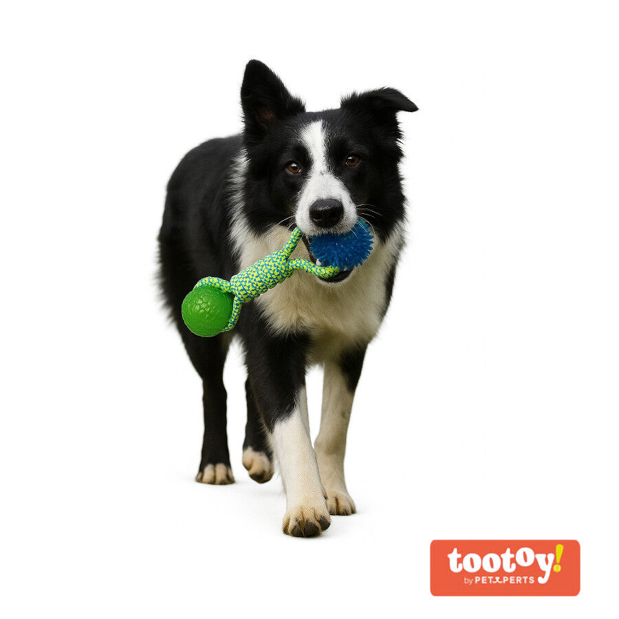 Tootoy! Pull Brinquedo de corda com duas bolas para c&atilde;es, , large Imagem n&uacute;mero 8