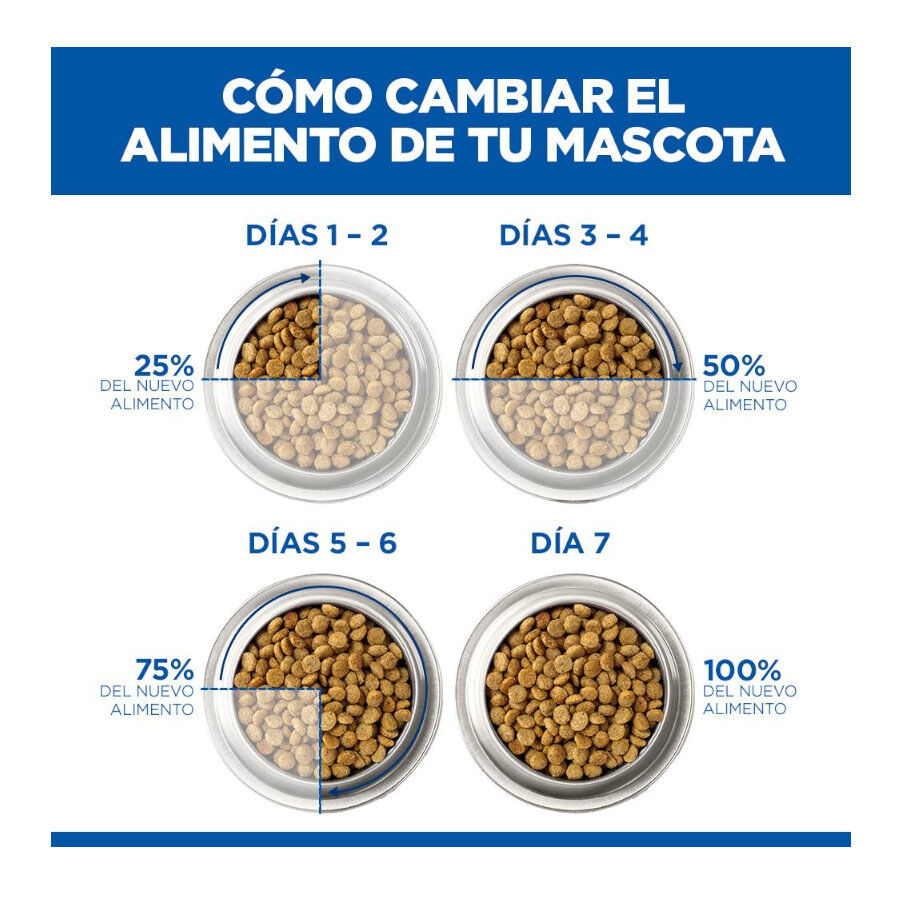 Hill's Science Plan Hipoalerg&eacute;nico Small e Mini Salm&atilde;o ra&ccedil;&atilde;o para c&atilde;es , , large Imagem n&uacute;mero 7