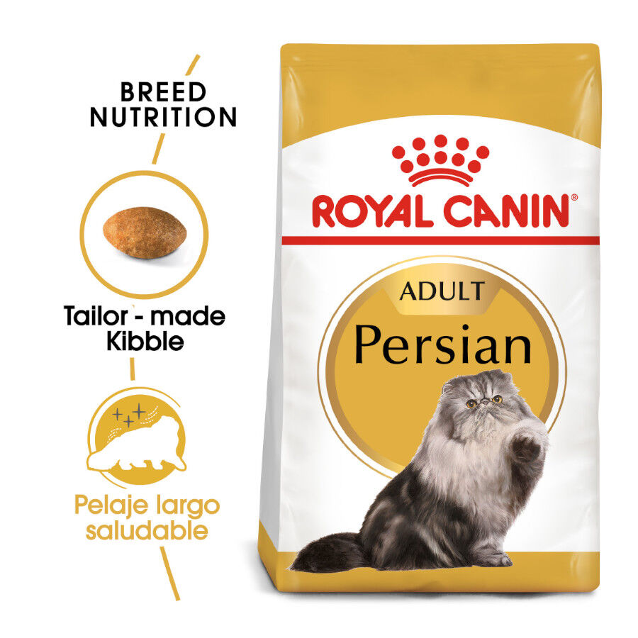 10 kg Royal Canin Persa ra&ccedil;&atilde;o para gatos adultos, , large Imagem n&uacute;mero 2