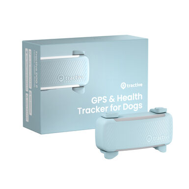 Tractive GPS Dog 6 Rastreador Mint de cães 