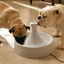 Petsafe Drinkwell Fonte Bebedouro para cães e gatos, , large Indicador imagem número 3