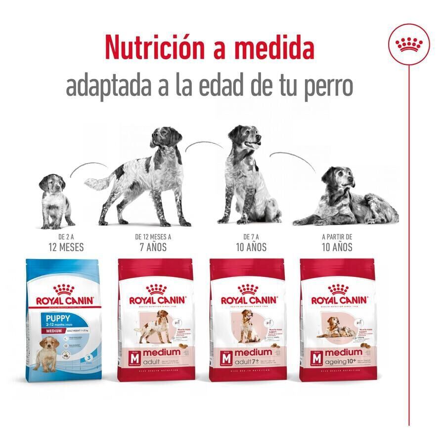 15 kg Royal Canin Medium 7+ Adult ra&ccedil;&atilde;o para c&atilde;es seniores, , large Imagem n&uacute;mero 10