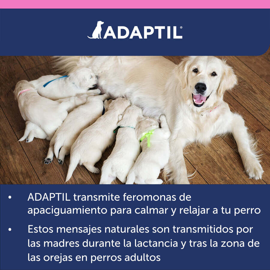 Adaptil Junior Coleira Anti-stress para c&atilde;es, , large Imagem n&uacute;mero 11