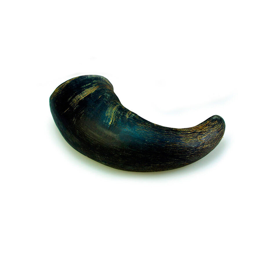 1 ud. True Origins Wild Chifre de B&uacute;falo Natural para c&atilde;es, , large Imagem n&uacute;mero 1