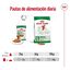 85 g Royal Canin Mini Adult saqueta em molho para cães, , large Indicador imagem número 7